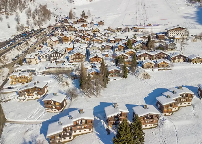 Grands Montets 502 In-ski Out - Happy