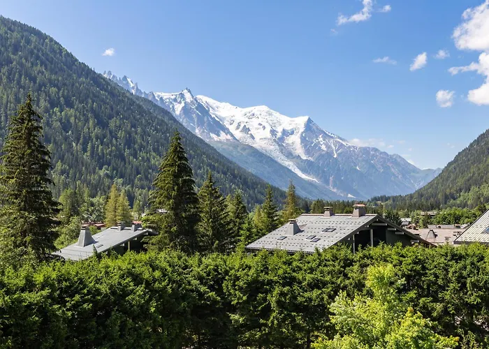 Grands Montets 502 In-ski Out - Happy *